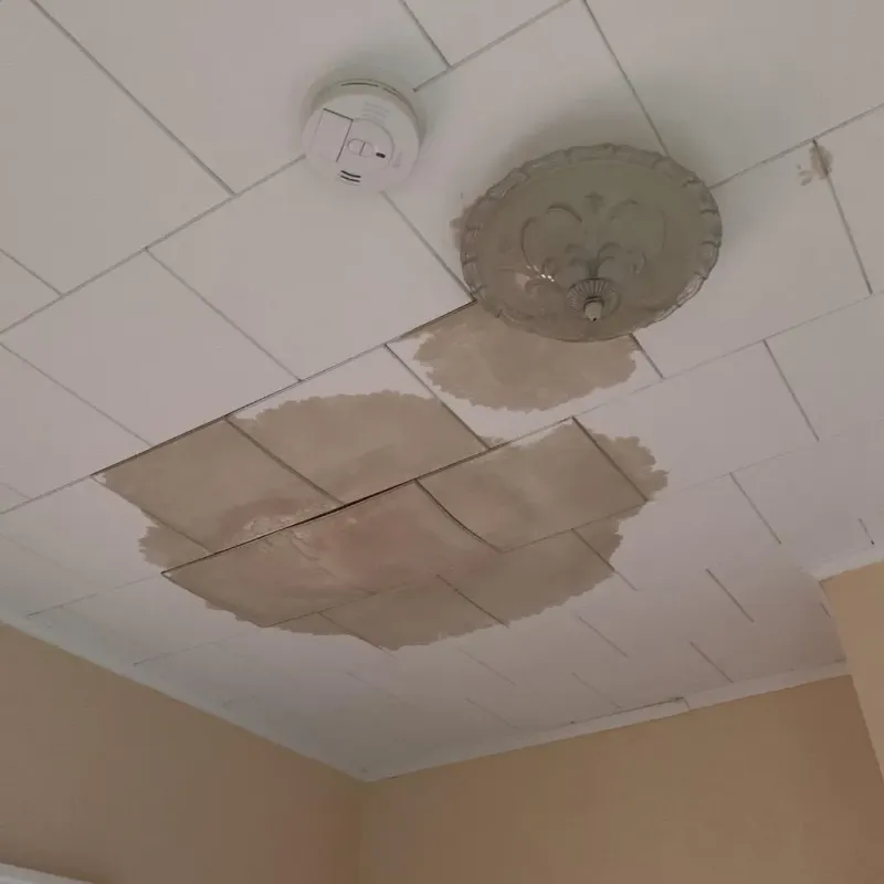 Ceiling Water Damage Repair in East Chattanooga, TN