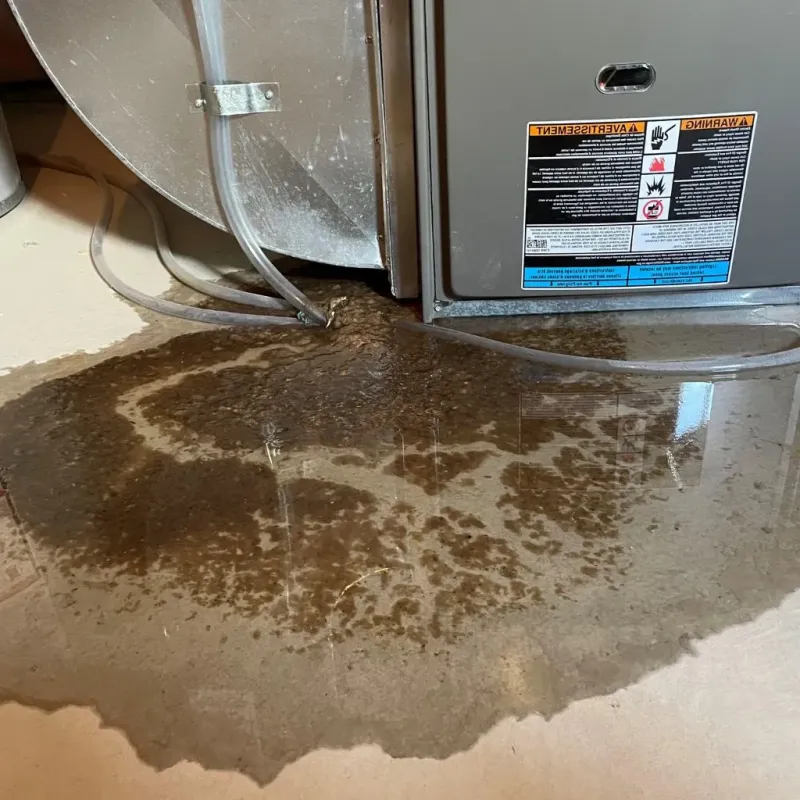 Pipe Burst and Leak Restoration in East Chattanooga, TN